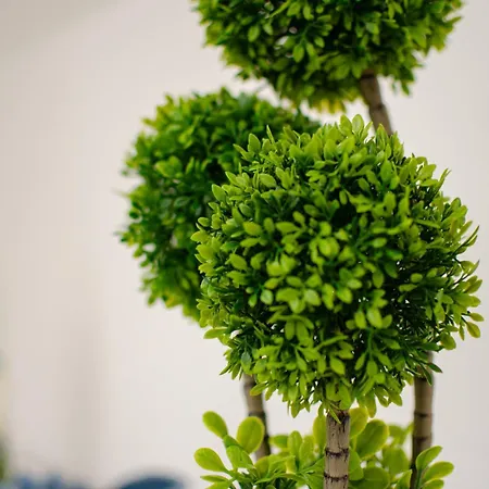 Appartamento San Pio Cozy - Relax Near Station Bari